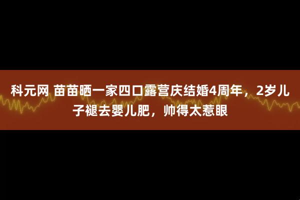 科元网 苗苗晒一家四口露营庆结婚4周年，2岁儿子褪去婴儿肥，帅得太惹眼