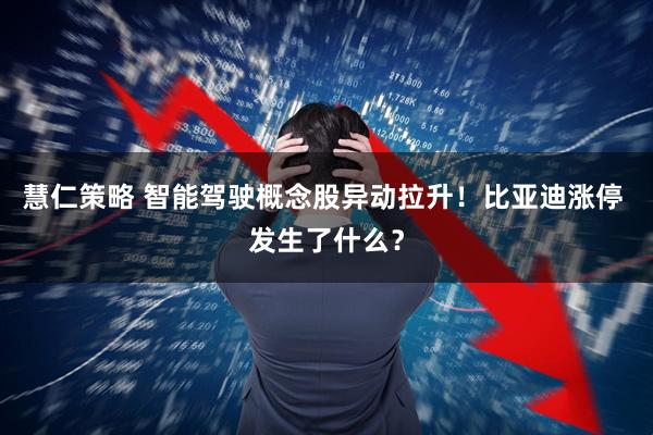 慧仁策略 智能驾驶概念股异动拉升！比亚迪涨停 发生了什么？