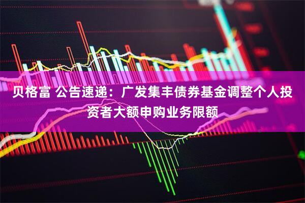 贝格富 公告速递：广发集丰债券基金调整个人投资者大额申购业务限额