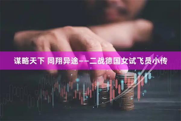 谋略天下 同翔异途——二战德国女试飞员小传
