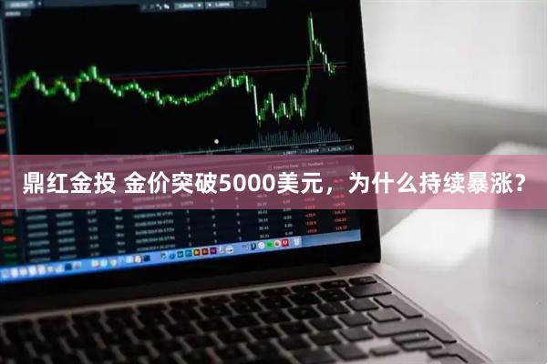 鼎红金投 金价突破5000美元，为什么持续暴涨？