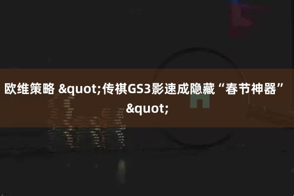 欧维策略 "传祺GS3影速成隐藏“春节神器” "